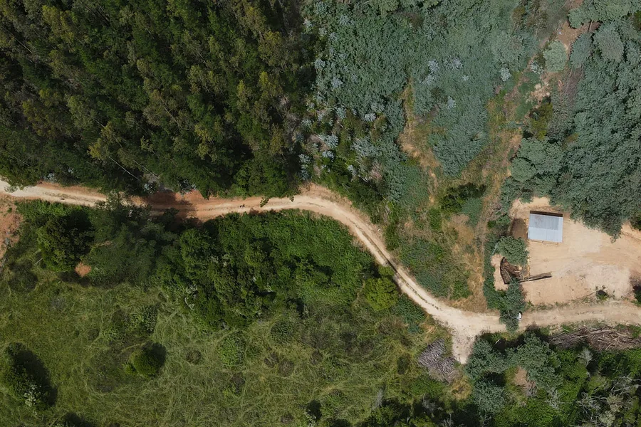 Vista superior camino - La Milla, Hualqui