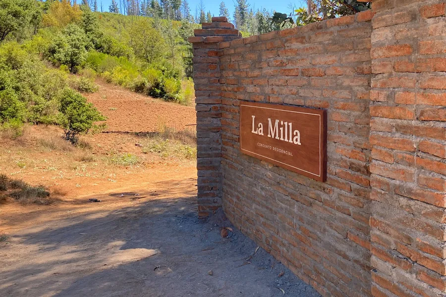 Vista árboles - La Milla, Hualqui