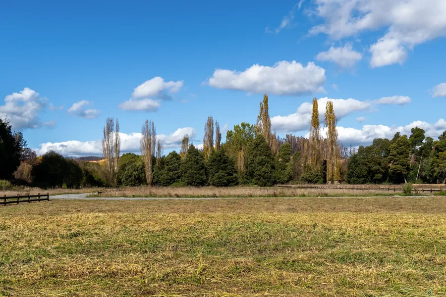 Vista aérea de conjunto residencial en Chile con vegetación nativa y caminos interiores